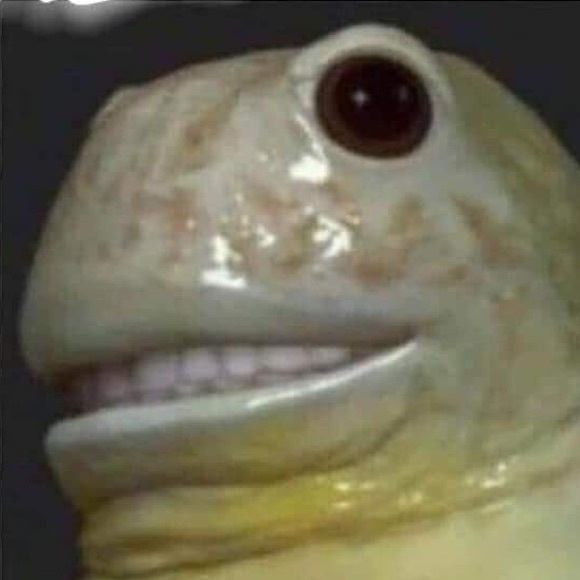 Meet your Posher, Grant - Picture 1 of 1